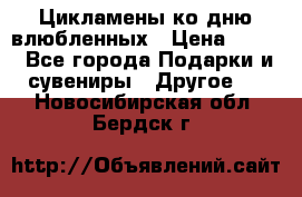 Цикламены ко дню влюбленных › Цена ­ 180 - Все города Подарки и сувениры » Другое   . Новосибирская обл.,Бердск г.